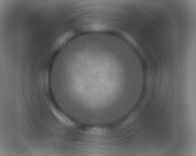 X0000082990542200702011431