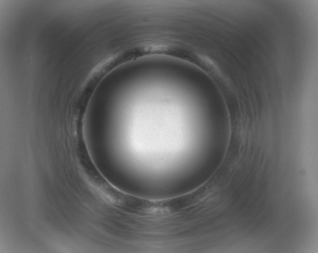 X0000082990543200702011431