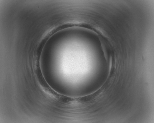 X0000082990544200702011431