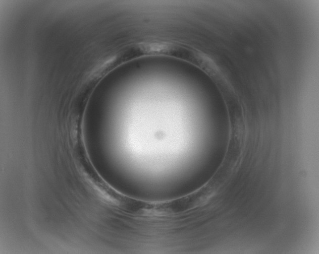 X0000082990545200702011431