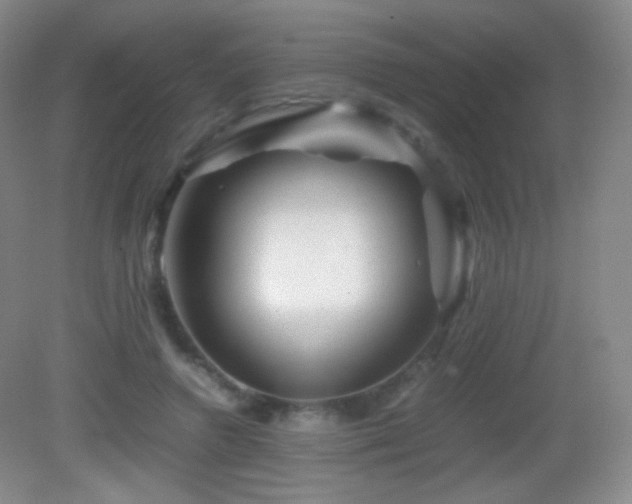 X0000082990546200702011431