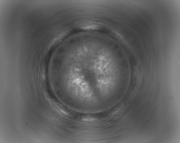 X0000082990547200702011431