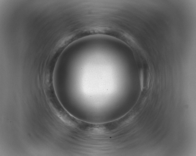 X0000082990548200702011432