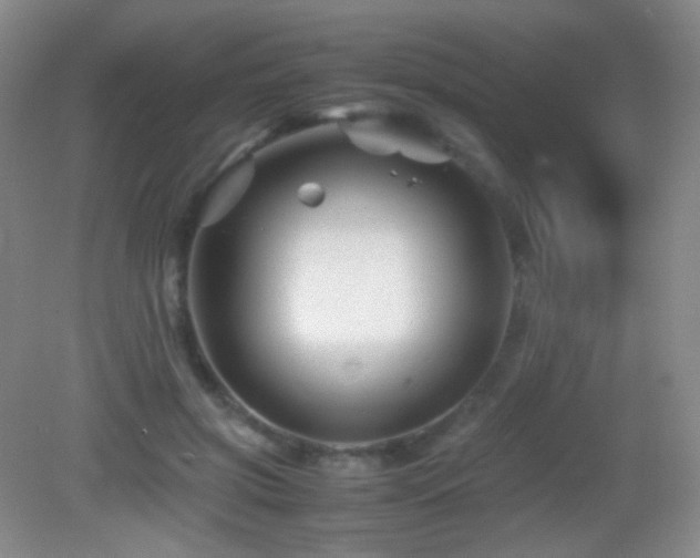 X0000082990549200702011432