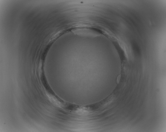 X0000082990550200702011432