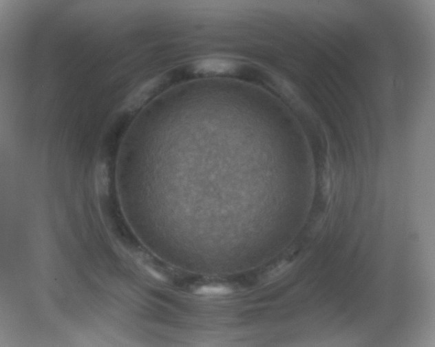 X0000082990551200702011432