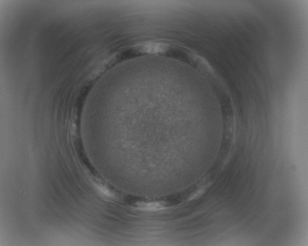 X0000082990553200702011432