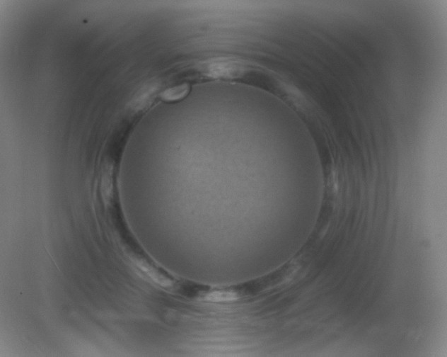 X0000082990554200702011432