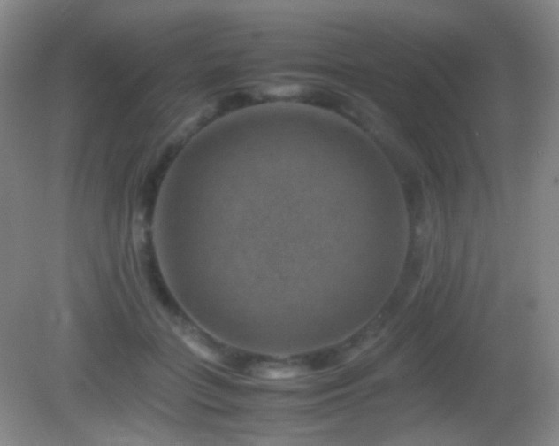 X0000082990555200702011432