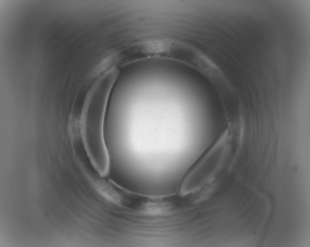 X0000082990556200702011432