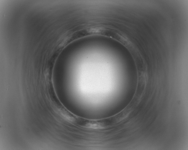 X0000082990557200702011432