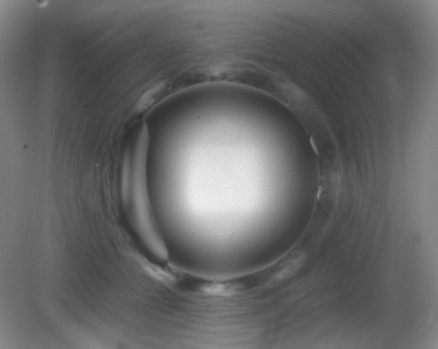 X0000082990558200702011432