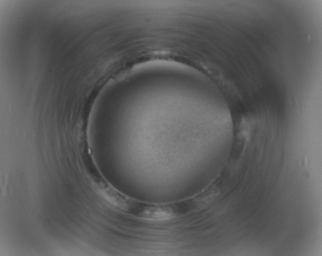 X0000082990559200702011432