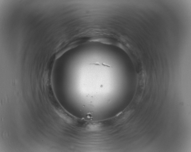 X0000082990560200702011432