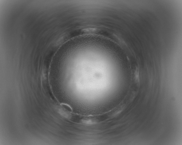 X0000082990561200702011432