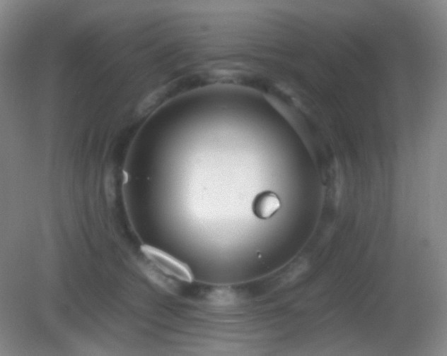 X0000082990562200702011432