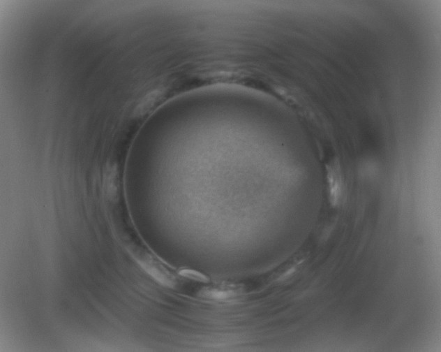 X0000082990563200702011432