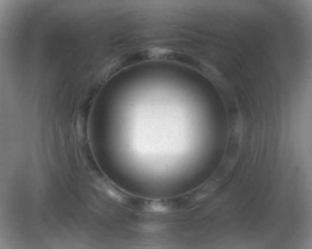 X0000082990565200702011432