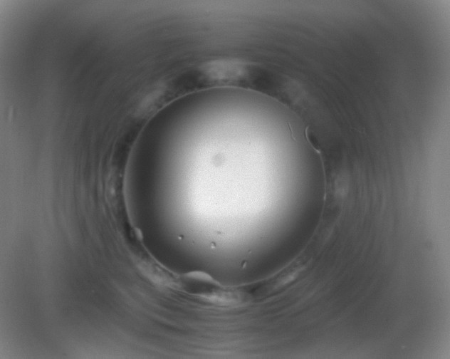 X0000082990567200702011432