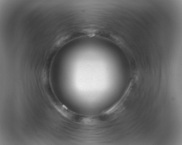 X0000082990568200702011432