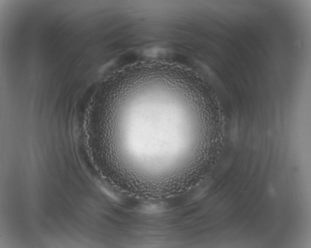 X0000082990569200702011432