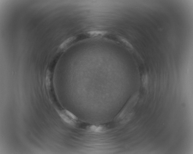 X0000082990570200702011432