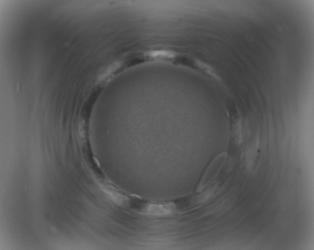 X0000082990571200702011432