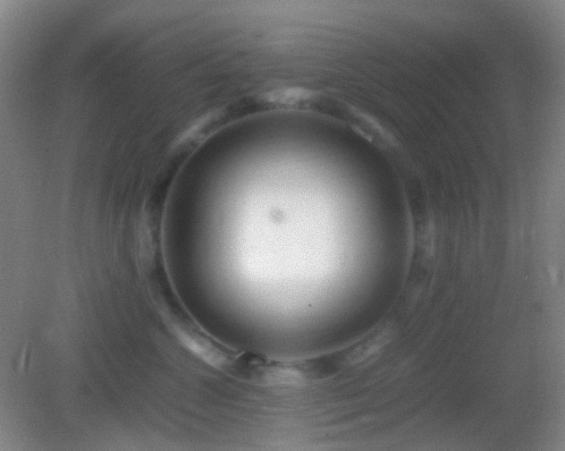 X0000082990572200702011432