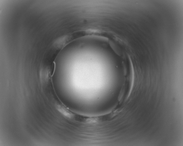 X0000082990574200702011432