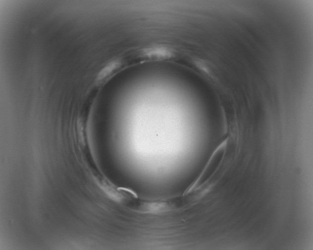 X0000082990575200702011432