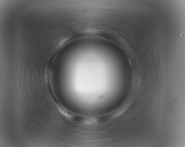 X0000082990576200702011432