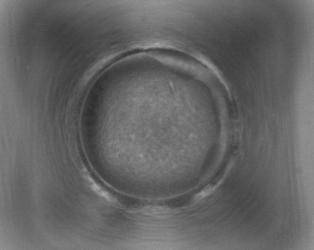 X0000082990577200702011431