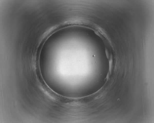 X0000082990578200702011431