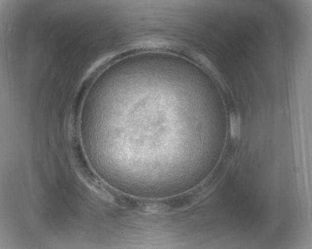 X0000082990579200702011431