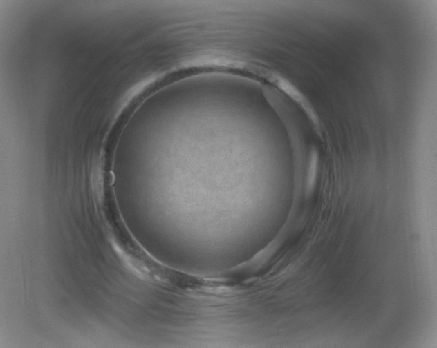 X0000082990580200702011431