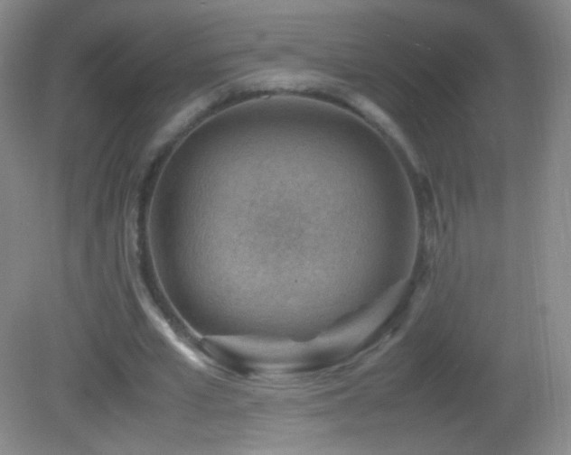 X0000082990581200702011431