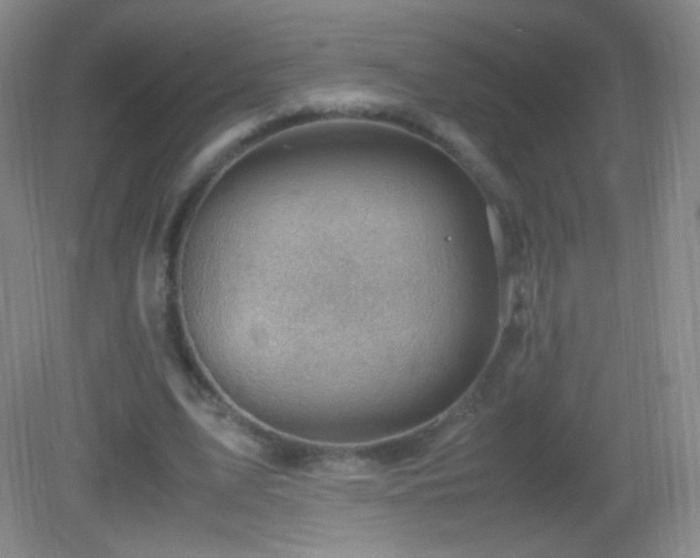 X0000082990583200702011431