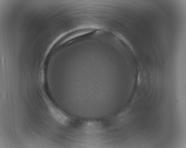 X0000082990584200702011431