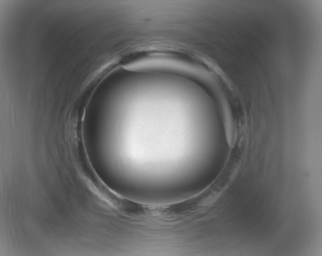 X0000082990585200702011431