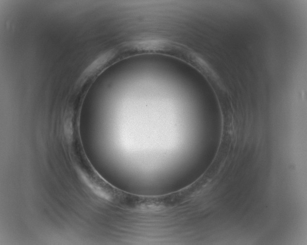 X0000082990586200702011431