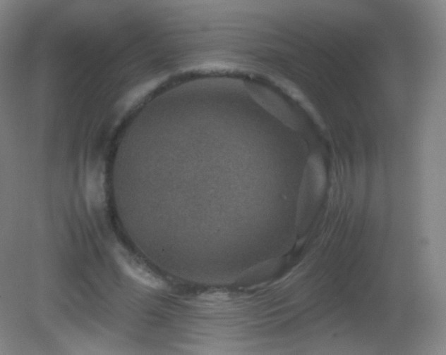 X0000082990588200702011431