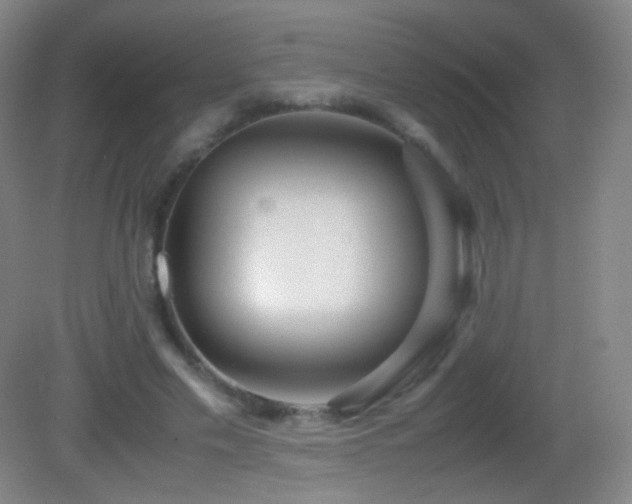 X0000082990589200702011431