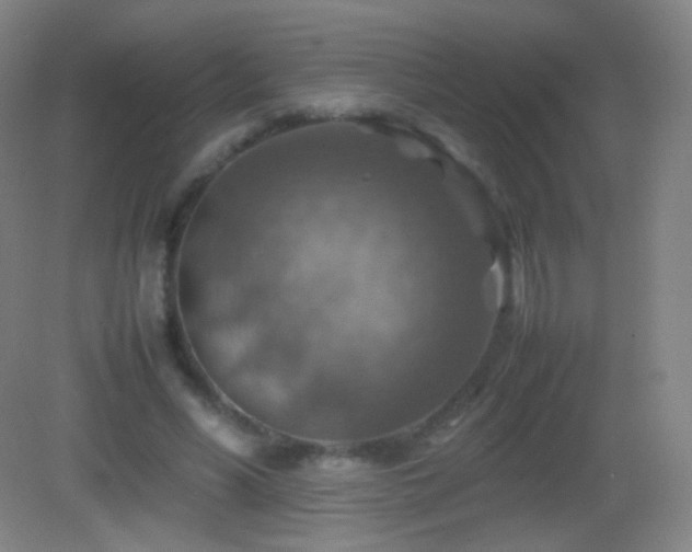 X0000082990590200702011431