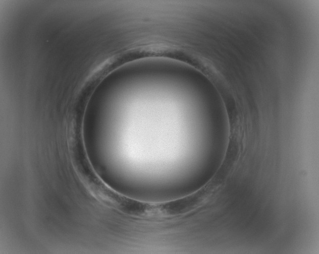 X0000082990591200702011431