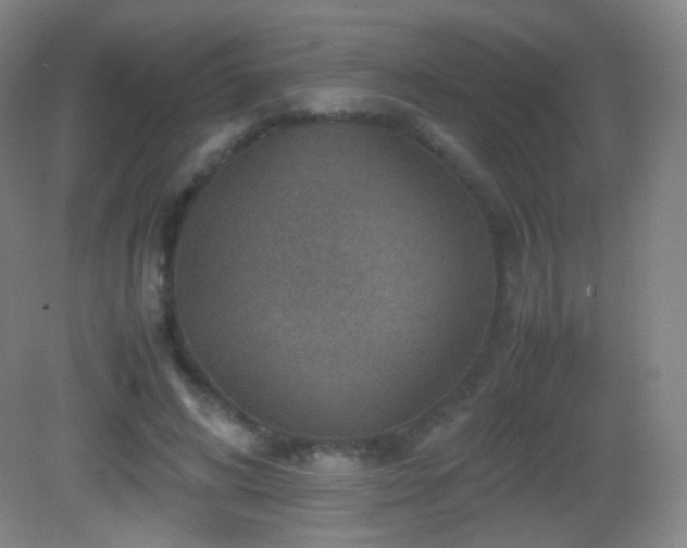 X0000082990592200702011431