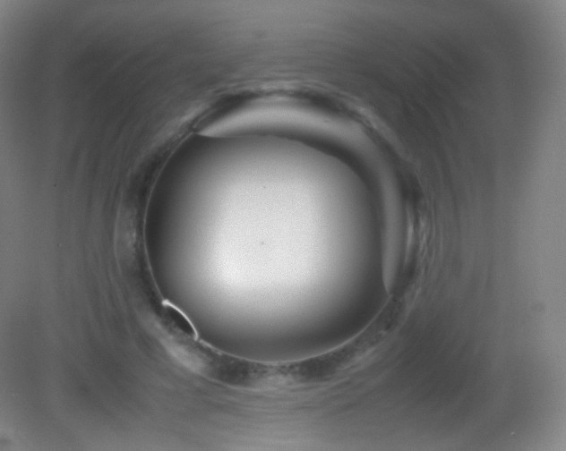 X0000082990593200702011431