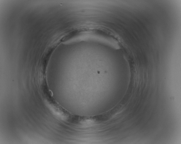 X0000082990594200702011431