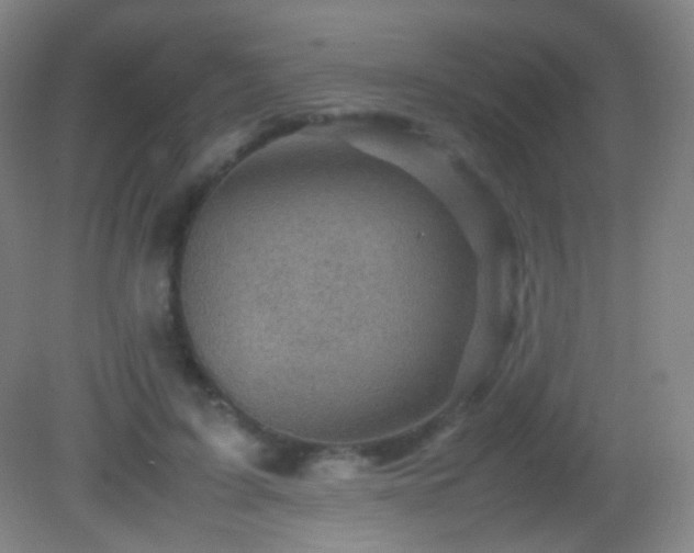 X0000082990595200702011431