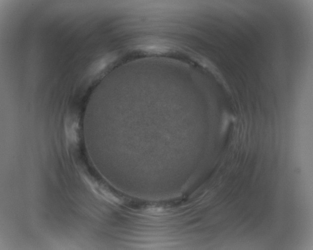 X0000082990596200702011431