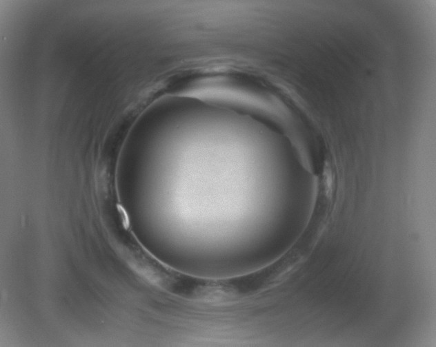 X0000082990597200702011431